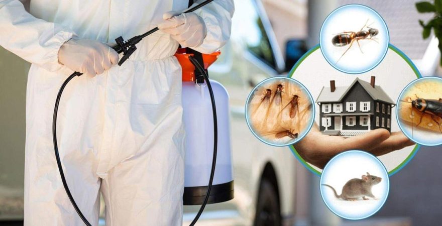 Güzelbahçe Böcek İlaçlama