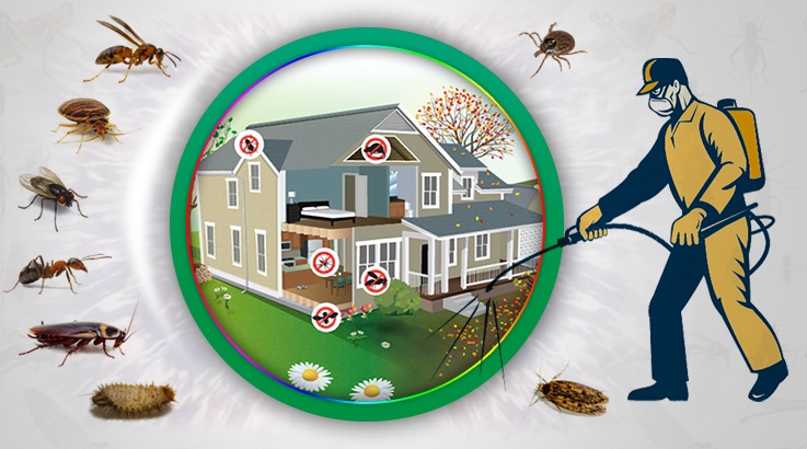 Güzelbahçe Böcek İlaçlama