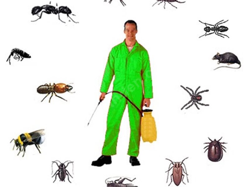 Güzelbahçe Böcek İlaçlama